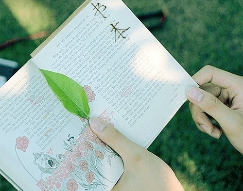 抖音文案正能量吸引人的句子