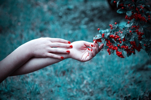 手抄报优美的句子段落