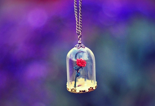 诗经大雅好寓意的句子