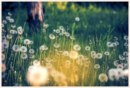 名人名言大全经典励志加作者