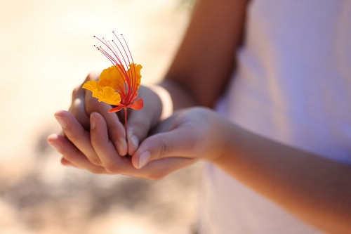 高质量温柔惊艳文案短句