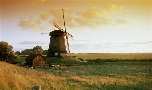 早安朋友圈的句子触动人心的
