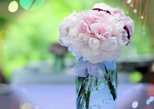 人生格局高度经典语录