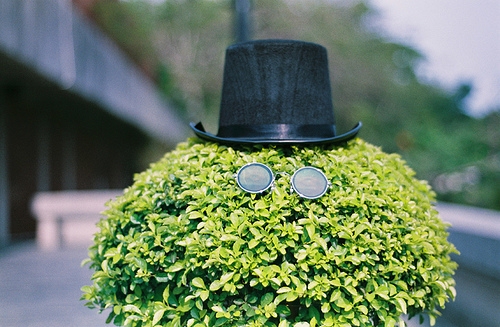 带坤字的好听的微信昵称