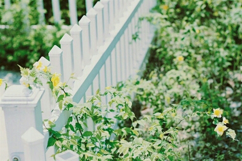 爱护环境保护地球的标语 爱护环境保护地球的标语