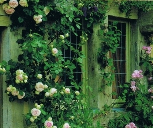 乔迁之喜贺词八个字