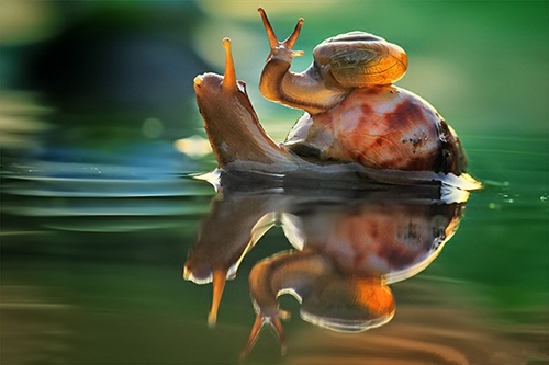 又逗又搞笑的微信语录