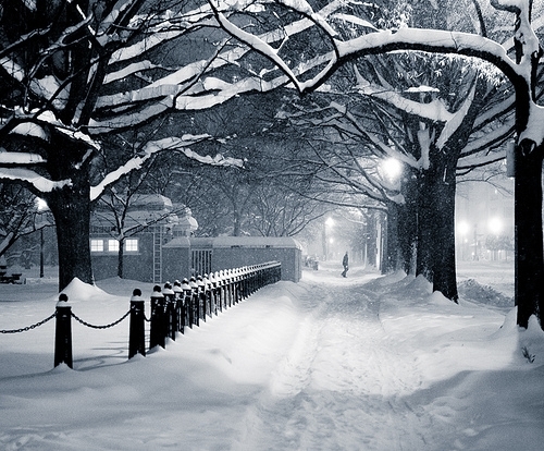 冬天最暖心的一句话 冬天最温暖的一句话