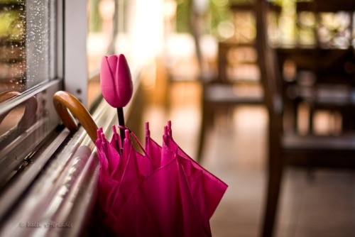 那些惊艳了你的小说语录