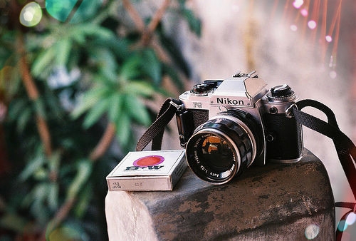 2022情侣网名最新版的能复制的