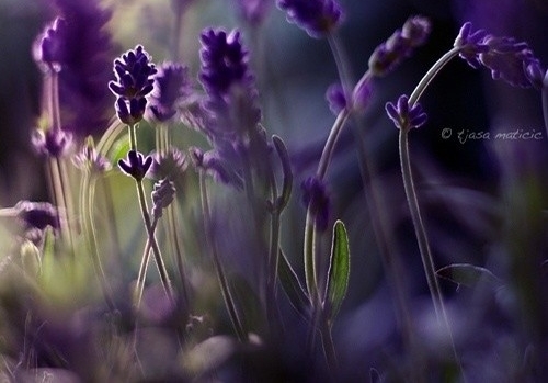 2022四个字最火超甜情侣网名