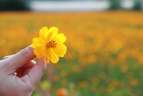 两个儿子发朋友圈的精美句子 两个儿子发朋友圈的精美句子