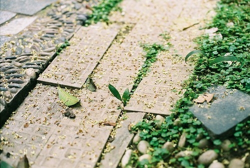 期待疫情早日结束春暖花开的句子