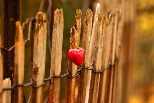 2022用心做好每一件事情的经典句子 2022用心做好每一件事情的经典句子