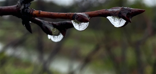 春雨的说说心情短语
