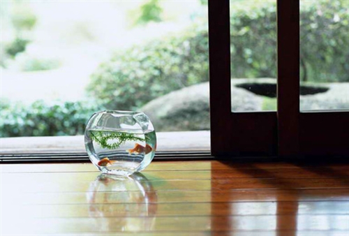 小升初祝福语和鼓励的话