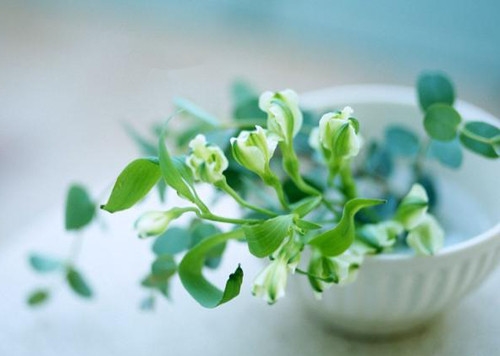 2022独一无二霸气网名微信昵称