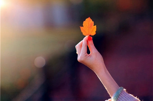 适合四月发的朋友圈文案 四月你好朋友圈说说句子