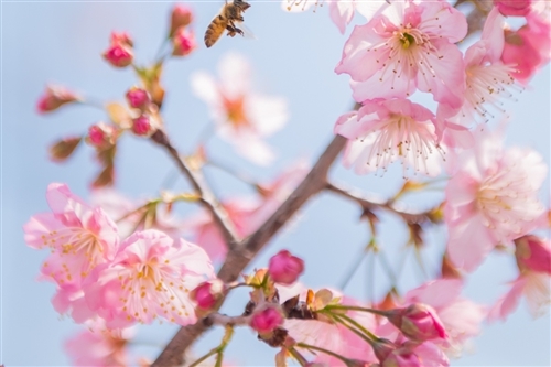 二胎男孩发朋友圈报喜文字 二胎男孩发朋友圈报喜文字