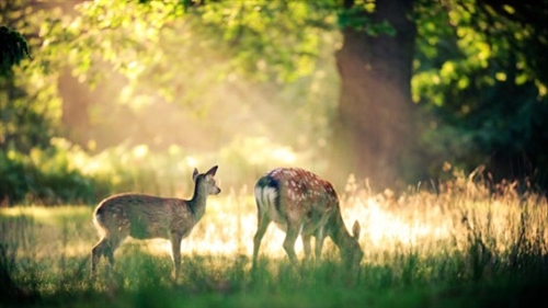 迷茫时发朋友圈的短句