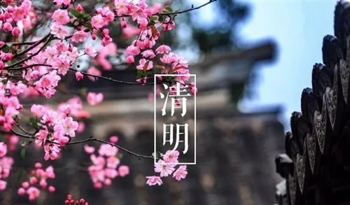 清明节回家扫墓的说说 清明节回家扫墓的说说