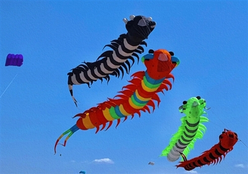 春天放风筝的优美句子二年级 春天放风筝的优美句子二年级