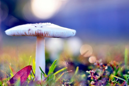 形容自己最近状态差的句子朋友圈