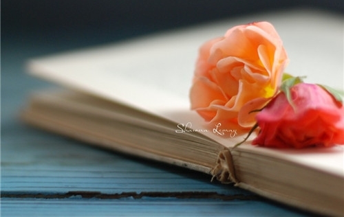 放大格局的经典语录