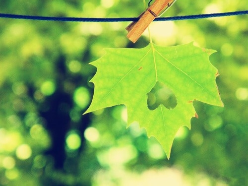 熬过最苦的日子的精美短句