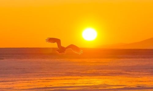 夕阳合影发朋友圈的句子 夕阳合影发朋友圈的句子