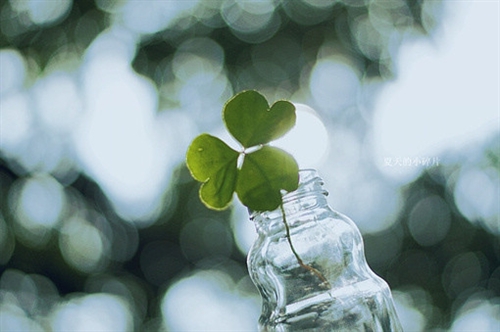 期待落空句子怎么写