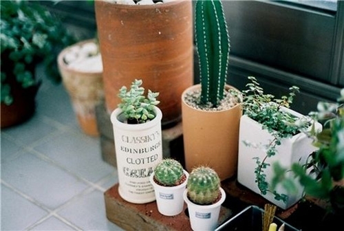 抖音扎心句子情感语录大全(精选48句)