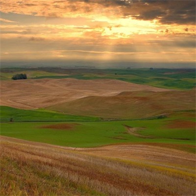 40一50岁男微信头像