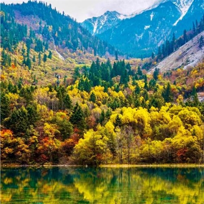 40一50岁男微信头像