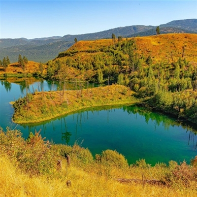 40一50岁男微信头像