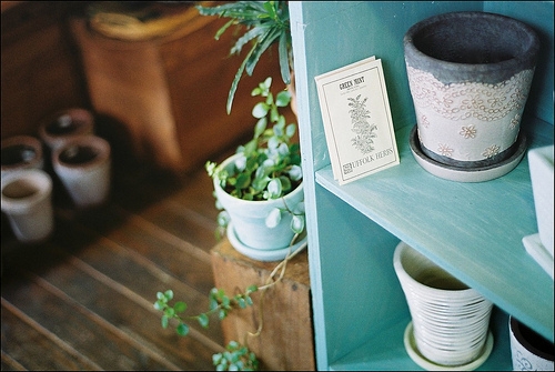 老房子拆了感慨的句子朋友圈(精选37句)