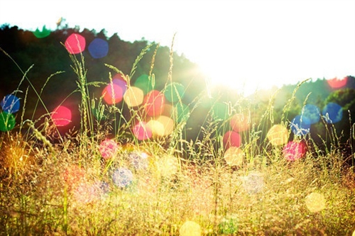 女人正能量的句子简短温柔朋友圈(精选57句)