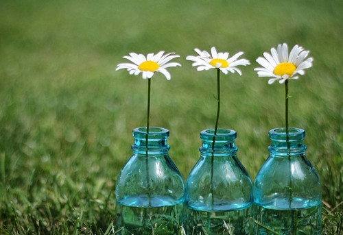 讽刺人性丑陋的句子(精选31句)