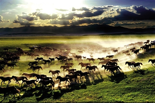 感慨父母变老的朋友圈(精选47句)