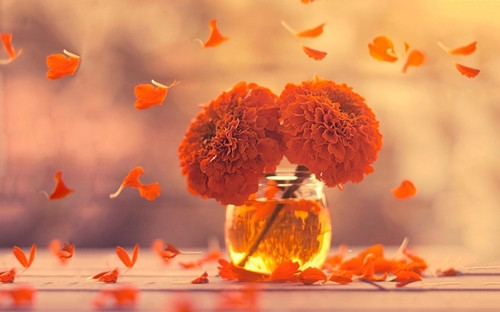 讽刺自己自作多情的句子(精选41句)