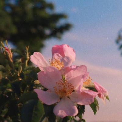 头像图片2023最火爆大气