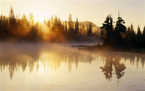 耐心被消磨殆尽的句子(精选41句)