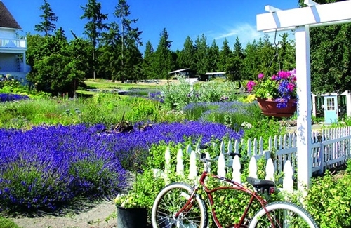 斤斤计较的人经典句子(精选36句)