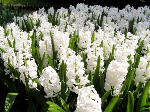 提醒自己不能哭的句子发朋友圈(35句)