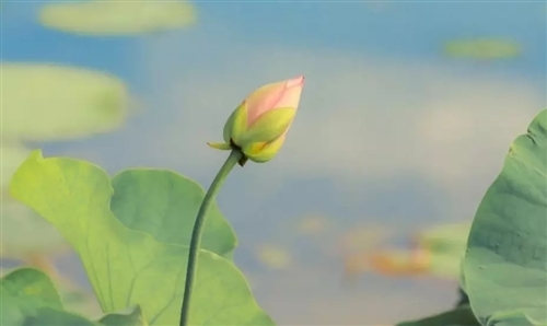 希望把日子过好的句子发朋友圈(精选30句)