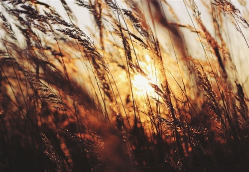 心里说不出的难受句子(45句)