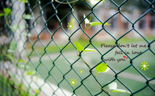 运动文案发朋友圈(精选48句)