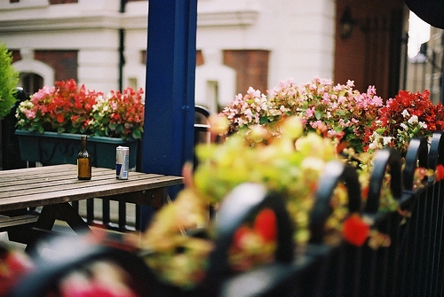 爬山文案(精选53句)