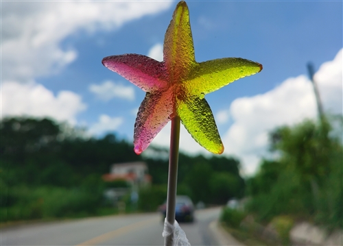 夏天小清新句子(精选47句)