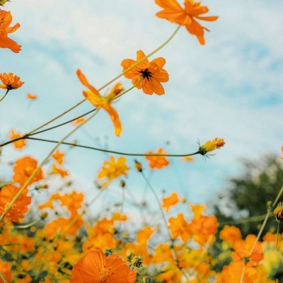 2022适合一辈子好运头像(精选12张)